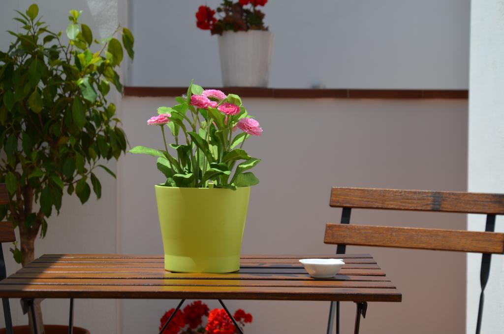Apartamentos San Isidro 44 Granada Dış mekan fotoğraf